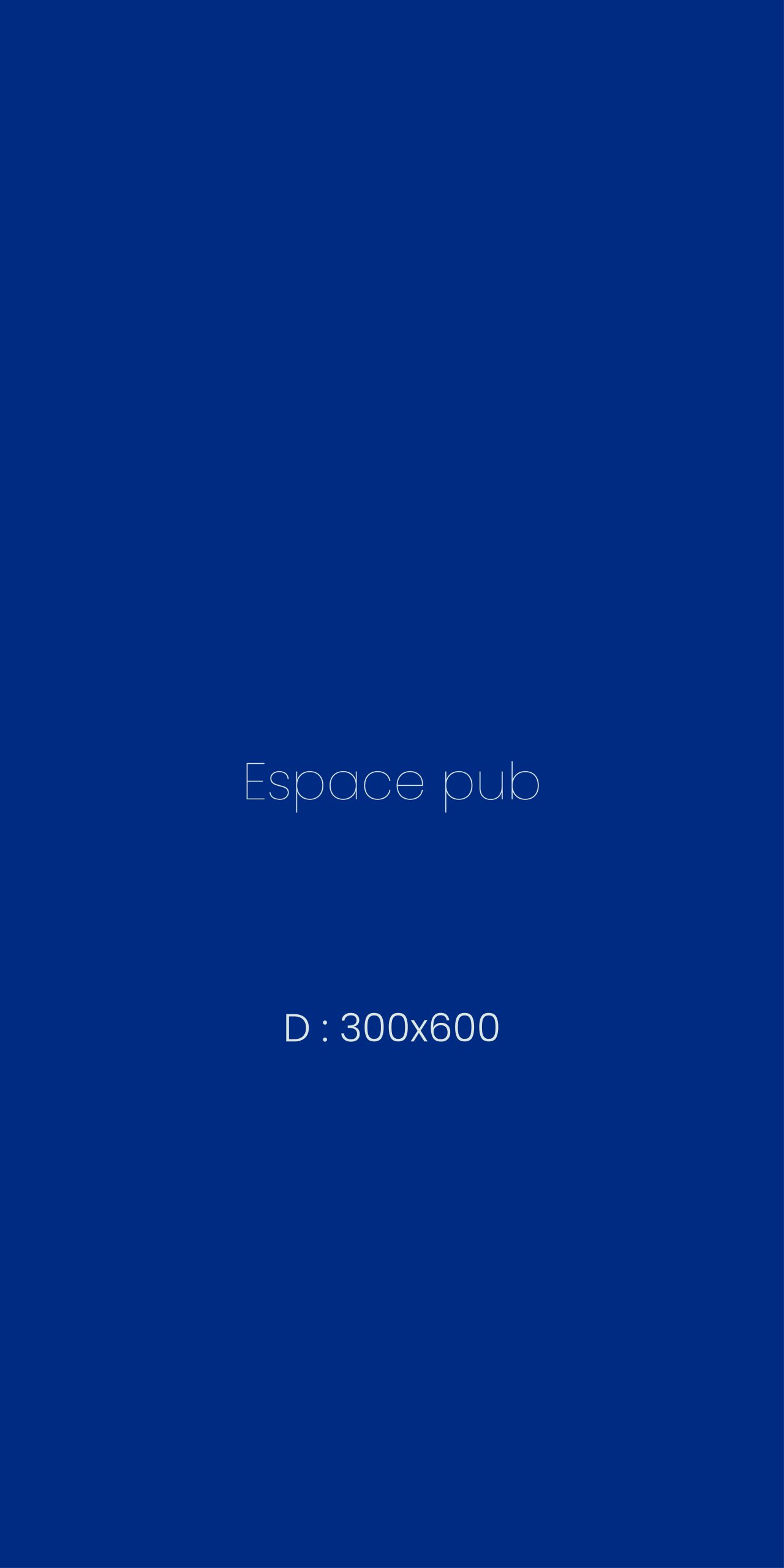 Bannière 300x250_Plan de travail 1 copie 2