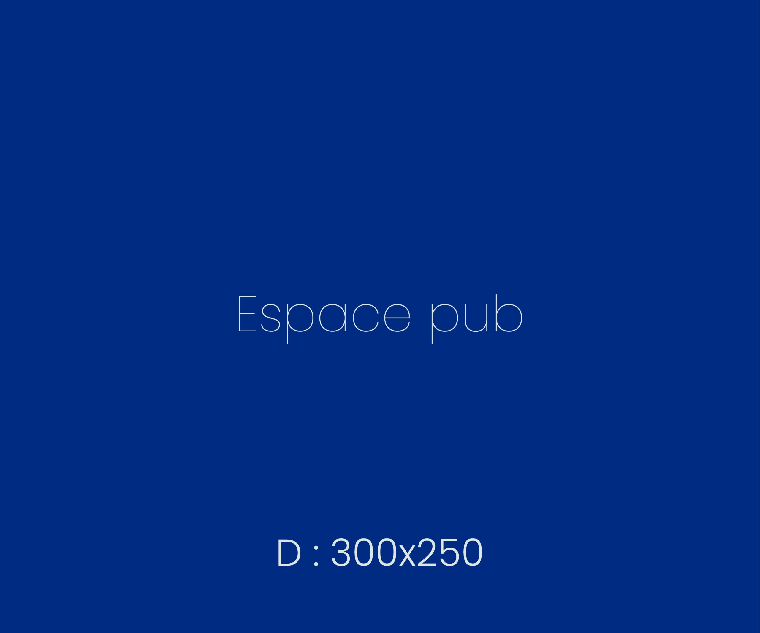 Bannière 300x250_Plan de travail 1